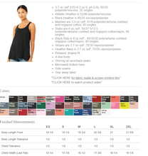 Load image into Gallery viewer, Stars, Stripes, and Women's Rights - 10 Print Options