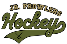 Load image into Gallery viewer, Swoosh Mascot Hockey Customizable Shirt