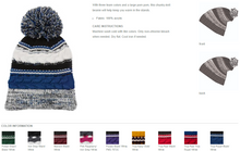 Load image into Gallery viewer, Pom Pom Team Beanie With Patch