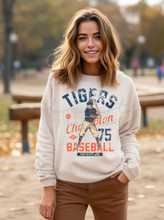 Load image into Gallery viewer, Detroit Baseball Vintage Distressed Player