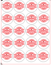 Load image into Gallery viewer, Michigamme Elementary Sticker Sheets