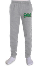 Load image into Gallery viewer, Emmett Irish Softball Hoodie Sweatpants Combo