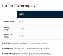 Load image into Gallery viewer, Garfield Elementary Chunky Pom Beanie with Logo Patch