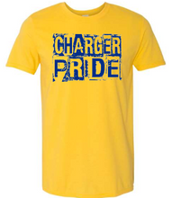 Load image into Gallery viewer, Distressed Blocks Charger Pride