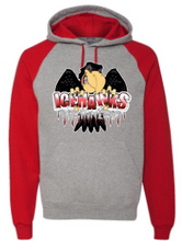 Load image into Gallery viewer, Port Huron Icehawks Color Blocked Raglan Hoodie
