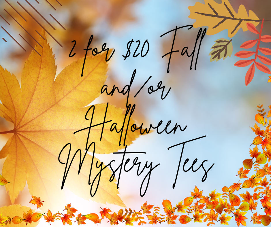 2 For 20 Fall/Halloween Mystery Tees