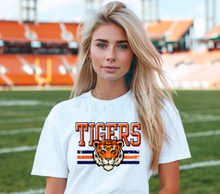 Load image into Gallery viewer, Detroit Baseball Tiger Stripes
