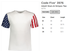 Load image into Gallery viewer, District 7 All-Stars Flag Sleeve Fan Shirt
