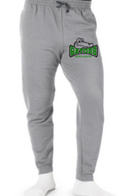 Load image into Gallery viewer, Garfield Gators Jerzees NuBlend Joggers
