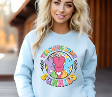 Load image into Gallery viewer, Teacher Easter Teaching Some Bunnies Circle
