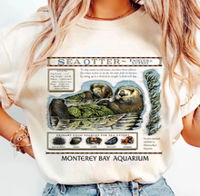 Load image into Gallery viewer, Sea Otter Aquarium
