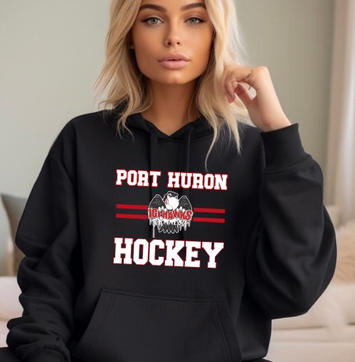 Port Huron Icehawks Logo Stripes
