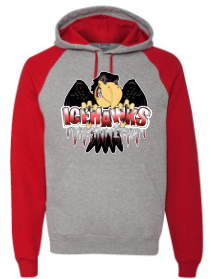 Port Huron Icehawks Color Blocked Raglan Hoodie