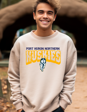 Load image into Gallery viewer, PHN Port Huron Huskies Distressed with Logo
